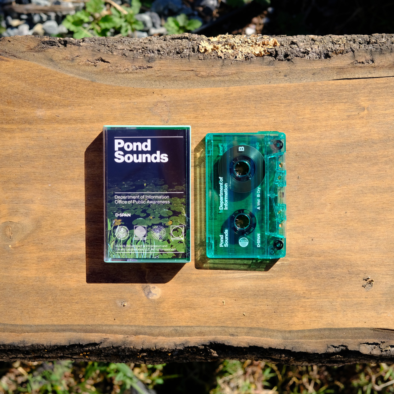 Pond Sounds Cassette Tape + Digital Download