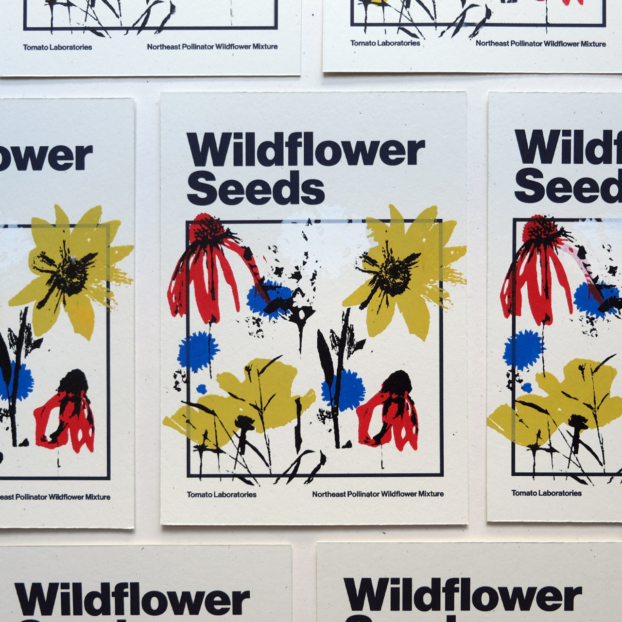 An alternating grid of 7 silkscreen prints of wildflowers
