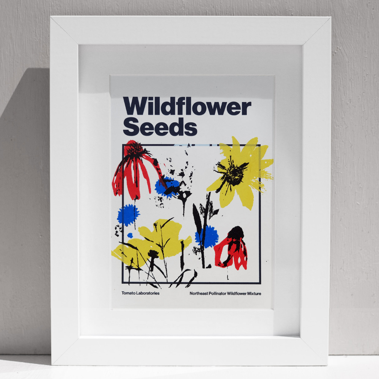 A beautifully framed pack of wildflower seeds