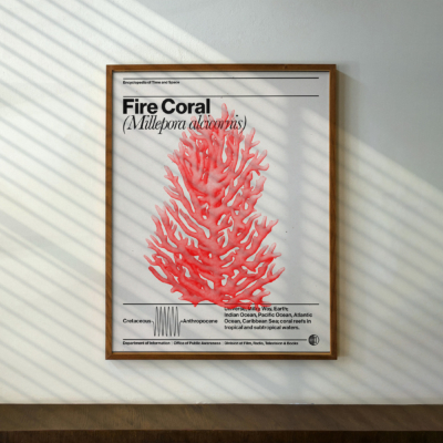 A framed poster of bright red fire coral over black text on white paper hangs on a shaded wall inside an office