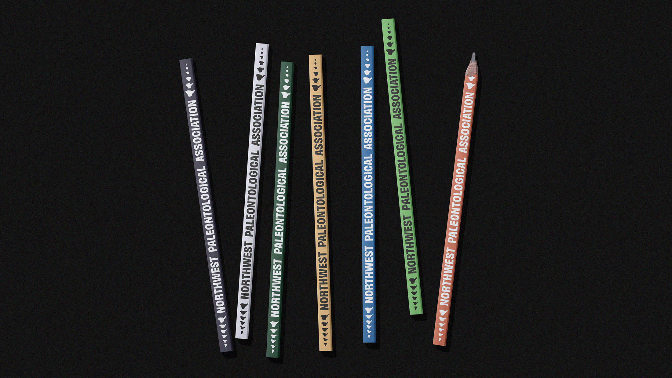 A bunch of colorful pencils on a black background that all say NORTHWEST PALEONTOLOGICAL ASSOCIATION and also have little dino bones on them