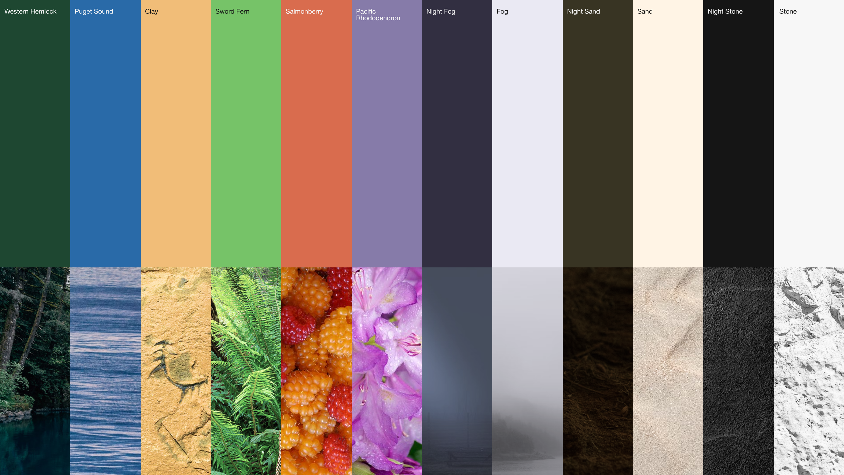 A vertical grid of brand colors is seen matched next to a photo of something that inspired it