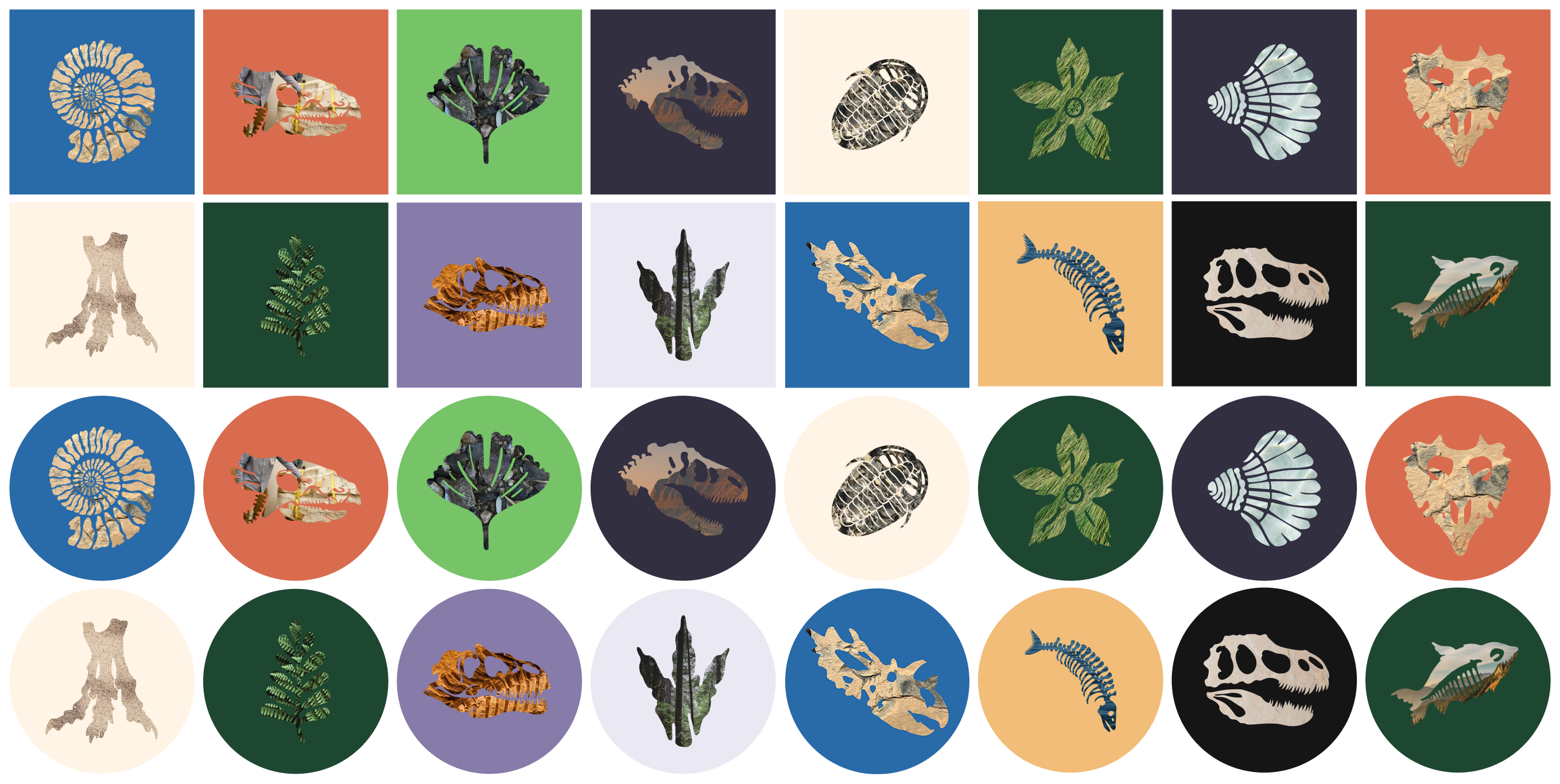 Multiple fossil silhouettes used as masks for colorful photos on colored backgrounds