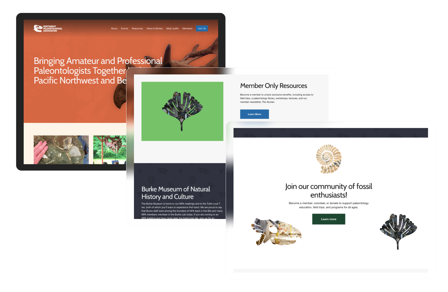 Three website mockup screens of the NPA website