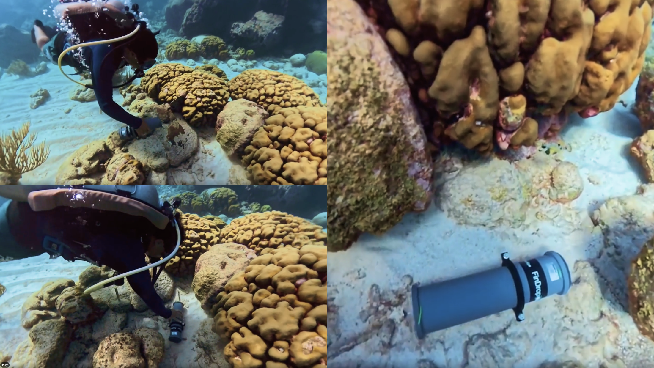 Three screenshots of a video are shown, they show a diver placing an underwater hydrophone device near some coral reefs to record fish sounds passively
