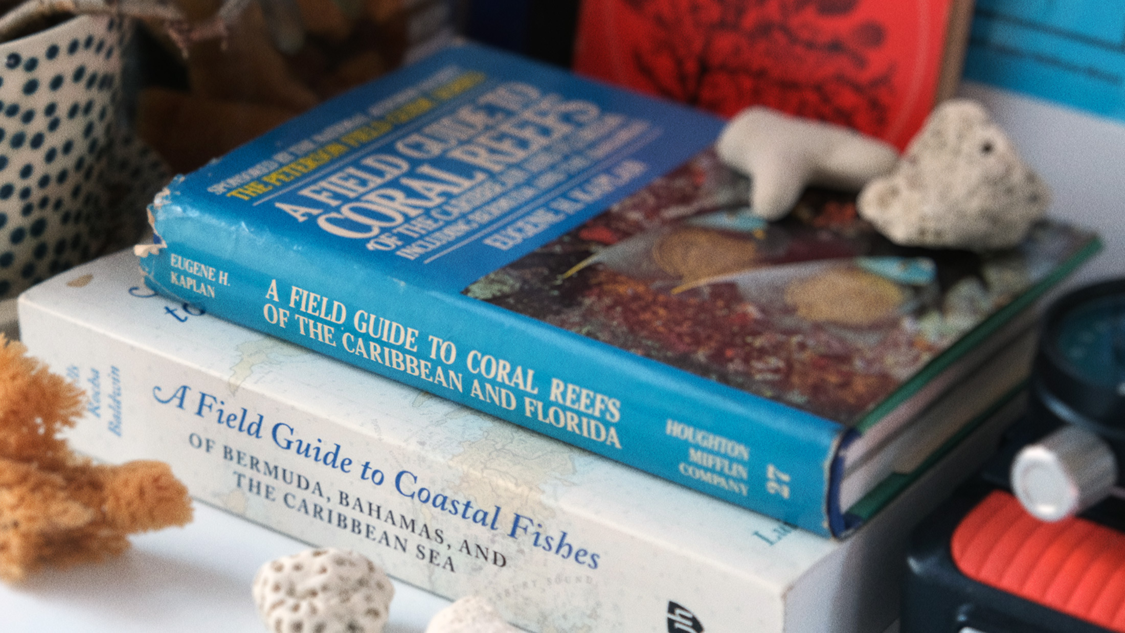 A photo of 4 pieces of coral next to two books - one book is A Field Guide to Coastal Fishes and the other is A Field Guide to Coral Reefs, both books show some wear and tear - the books are on a desk surrounded by coral and sea sponges and a vintage underwater camera