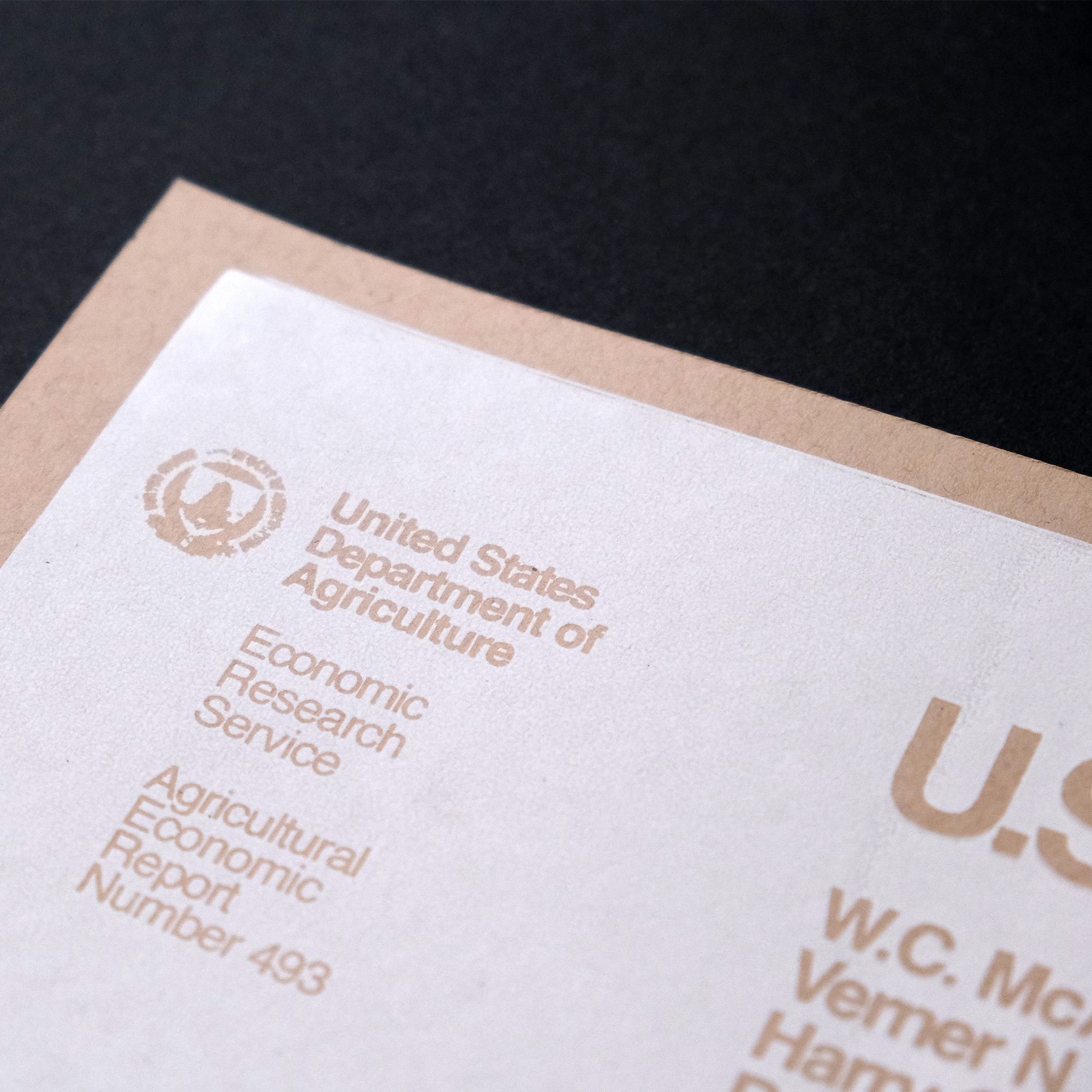 A silkscreen poster of a 1980s us government report titled US Peanut Industry in white ink on brown craft paper