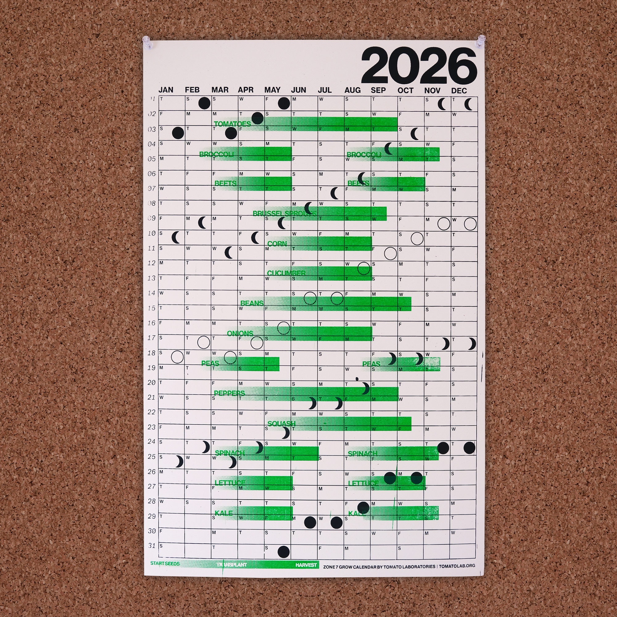 A calendar on a corkboard: White paper, clean minimal black ink in a big grid and bright green gradients overlaid that represent seed plant and harvest times