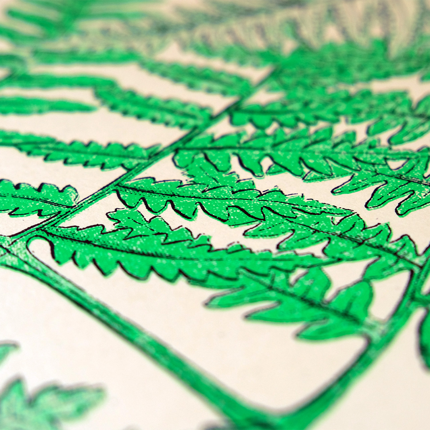 Close up shot of a bright green silkscreen print of a fern