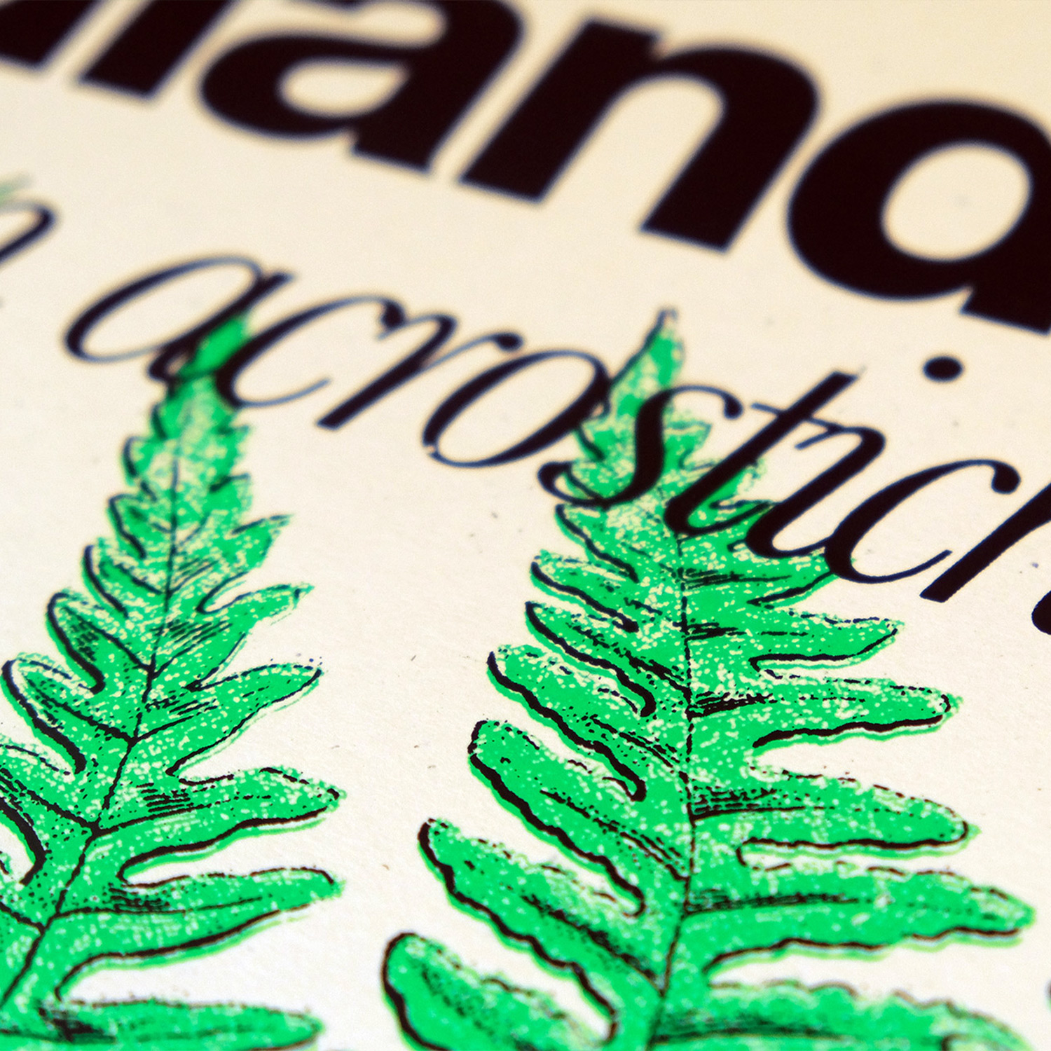 Close up shot of a bright green silkscreen print of a fern