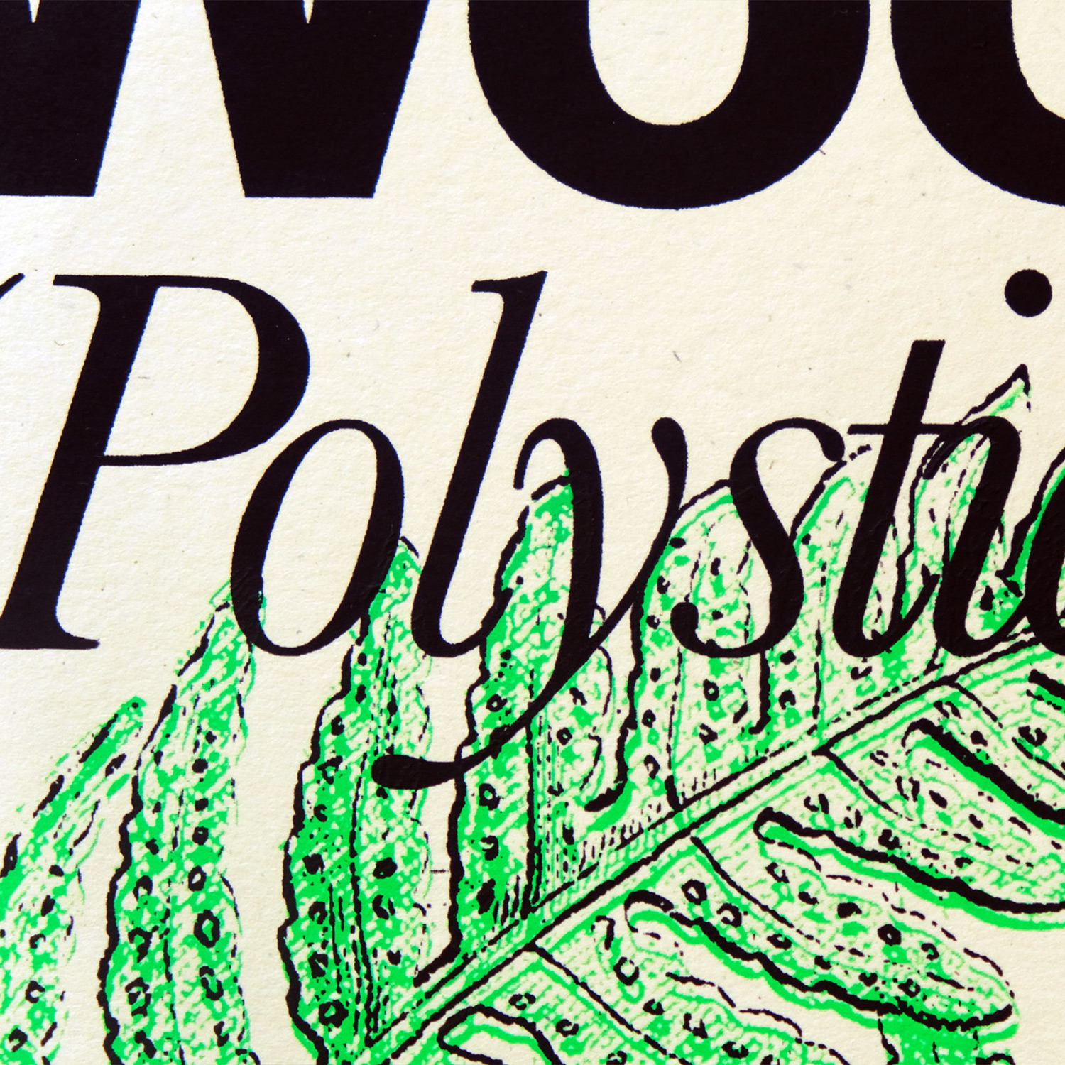 Close up shot of a bright green silkscreen print of a fern