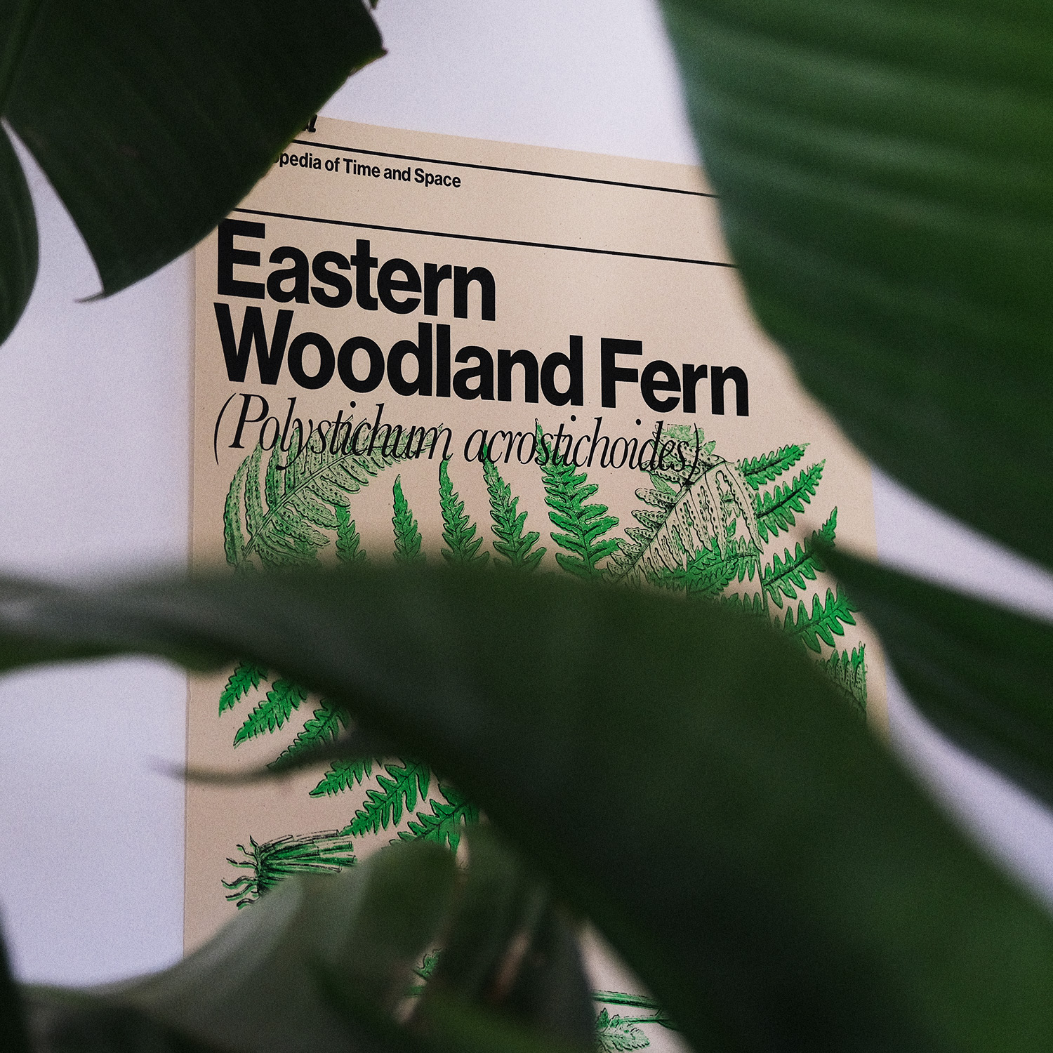 A poster of a fern in neon green with black overlay text all on cream colored paper