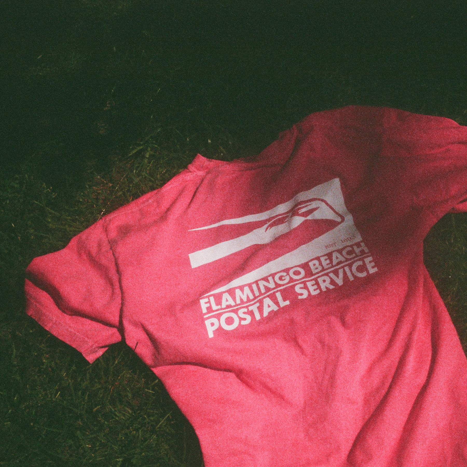 A wrinkled pink flamingo beach postal service tee on grass, grainy 35mm film