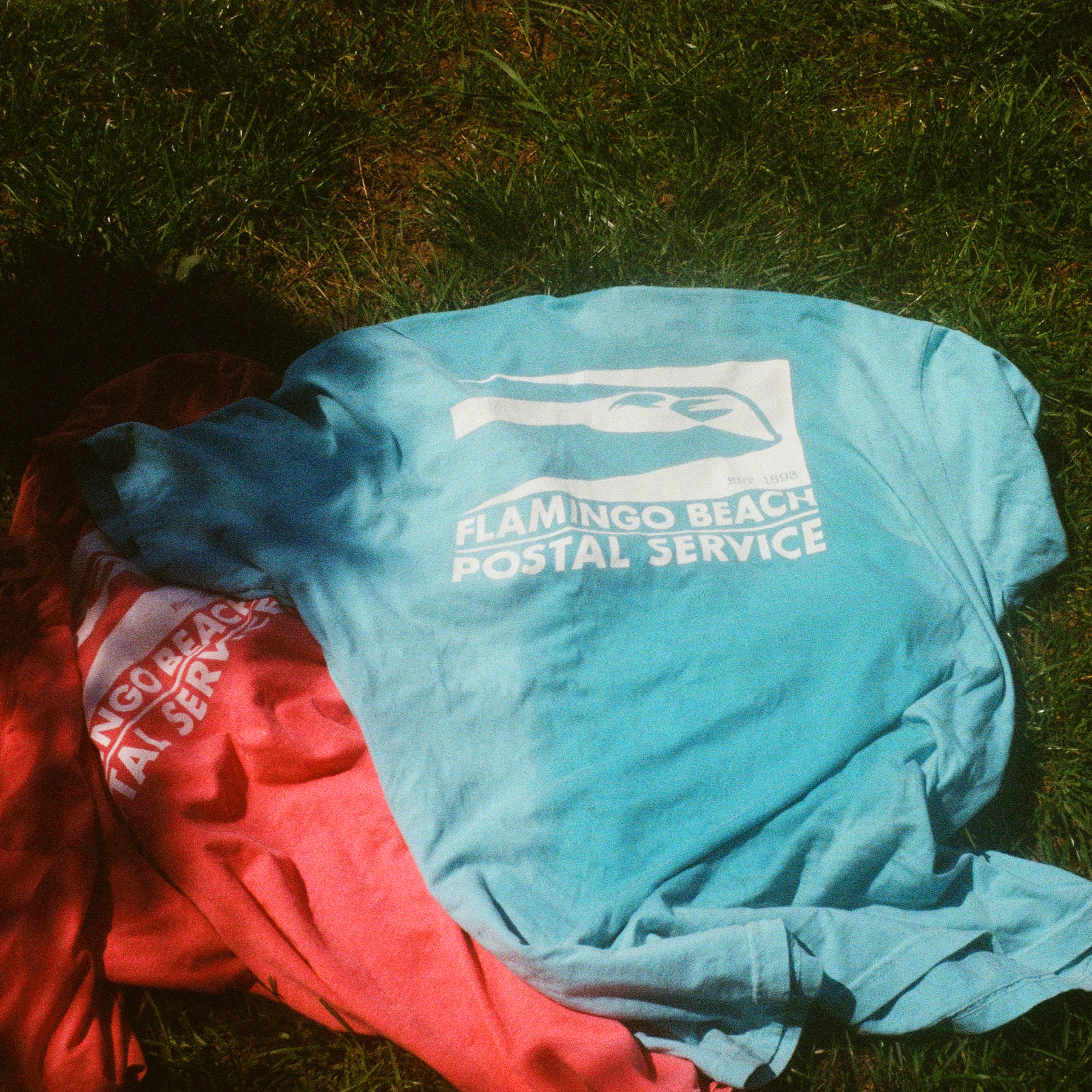 wrinkled pink and blue flamingo beach postal service tees on grass, grainy 35mm film