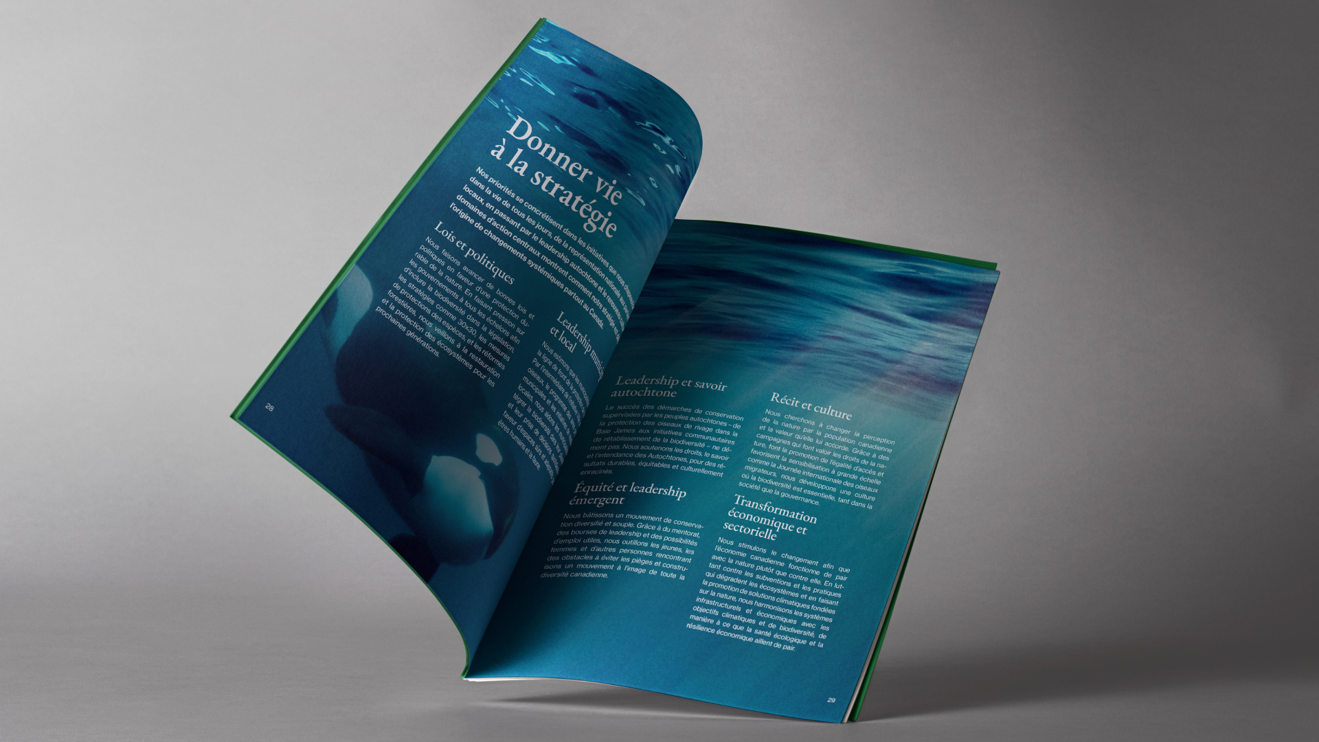 A spread from Nature Canada's Strategic Play, featuring an Orca and some beautifully typeset columns of text