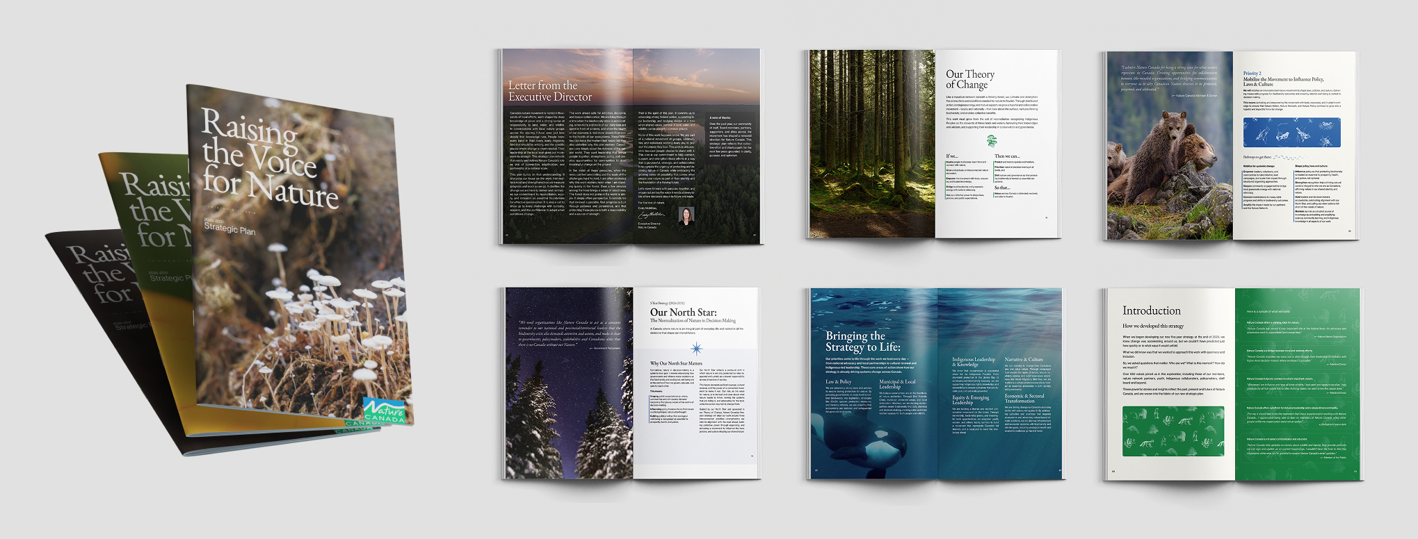 A series of spreads from Nature Canada