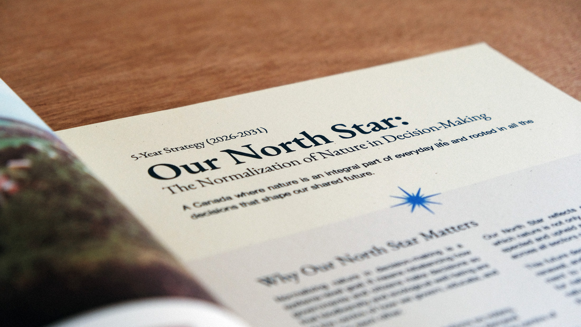 A spread from Nature Canada's Strategic Report, Chapter Our North Star