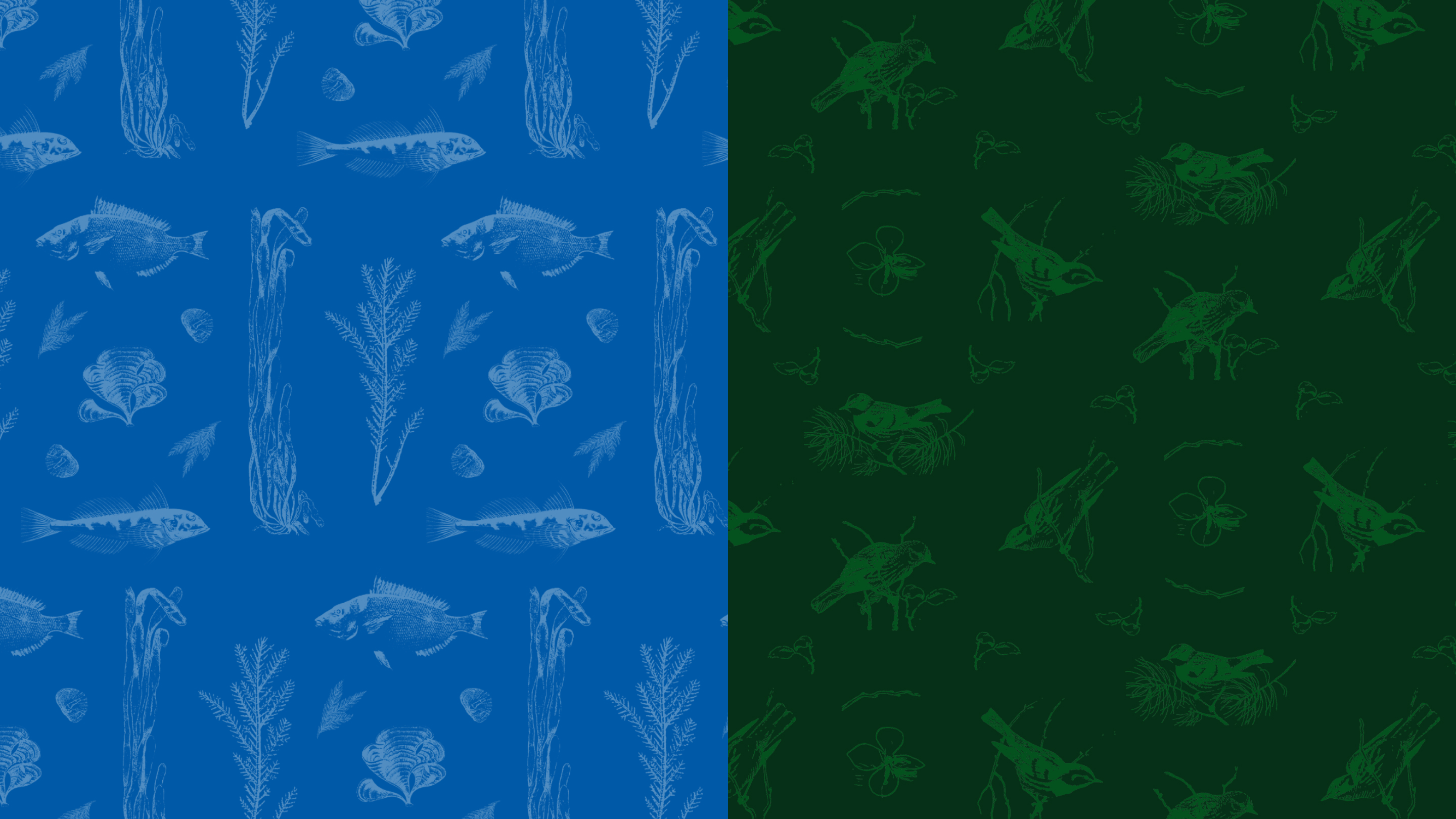 Beautiful textured wallpaper patterns of sea creatures and birds in blue and green