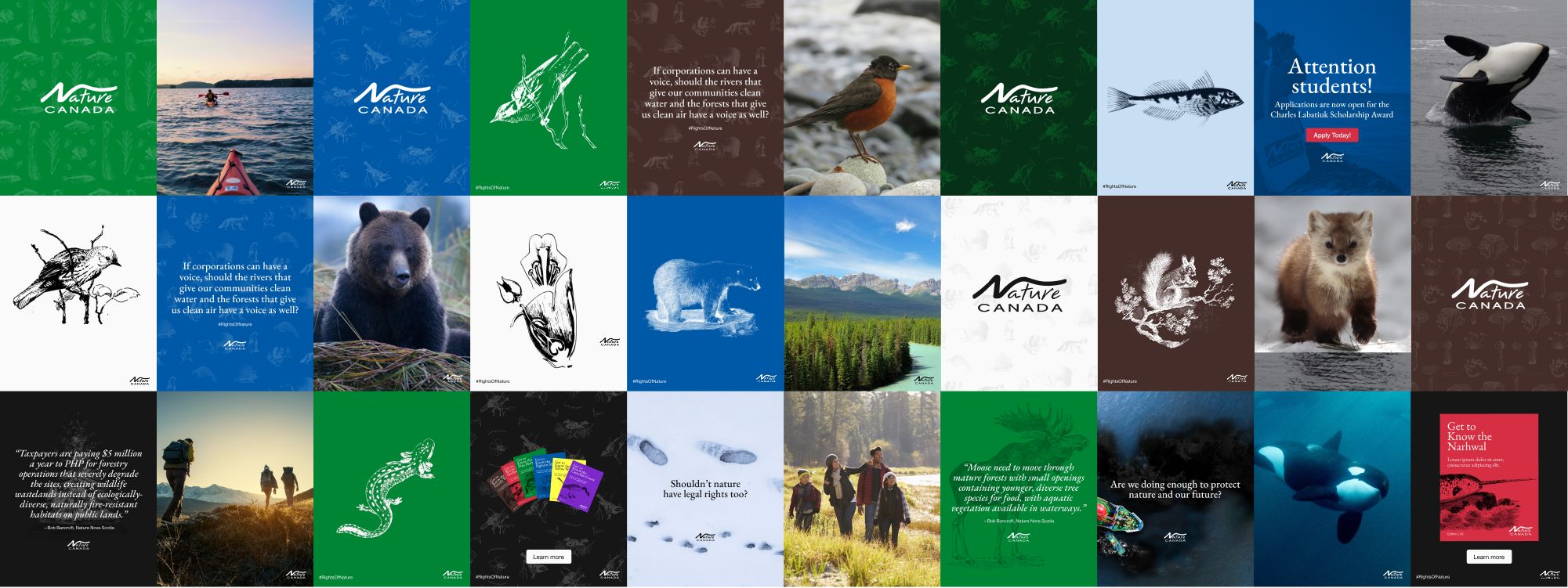 A colorful grid of social media squares for Nature Canada's brand guide