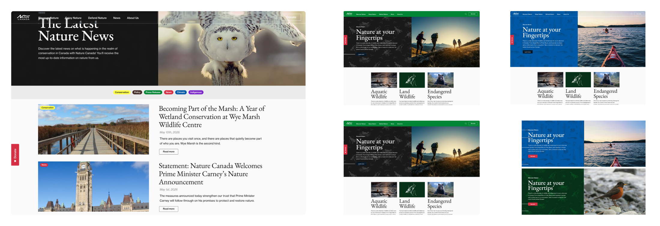 A series of screenshots of website guidance examples for Nature Canada's brand guide
