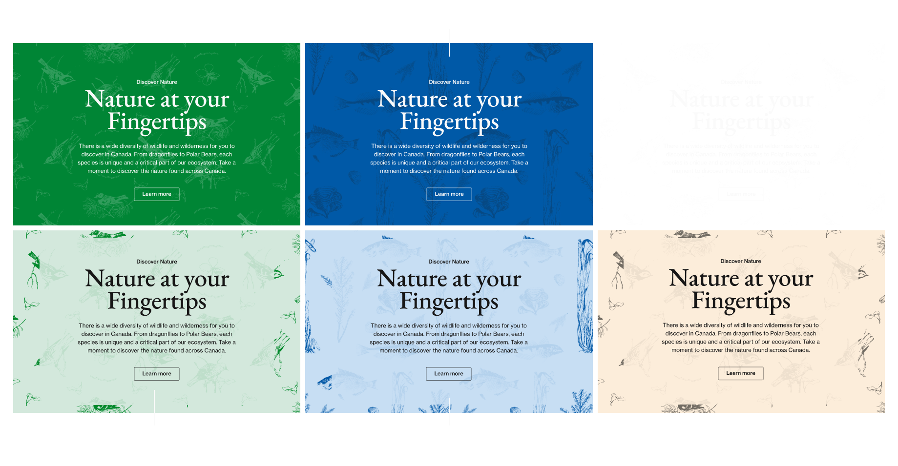 A series of typographic studies for brand guidance, EB Garamond in a very respectable typesetting way sits on top of some colorful wallpaper nature patterns