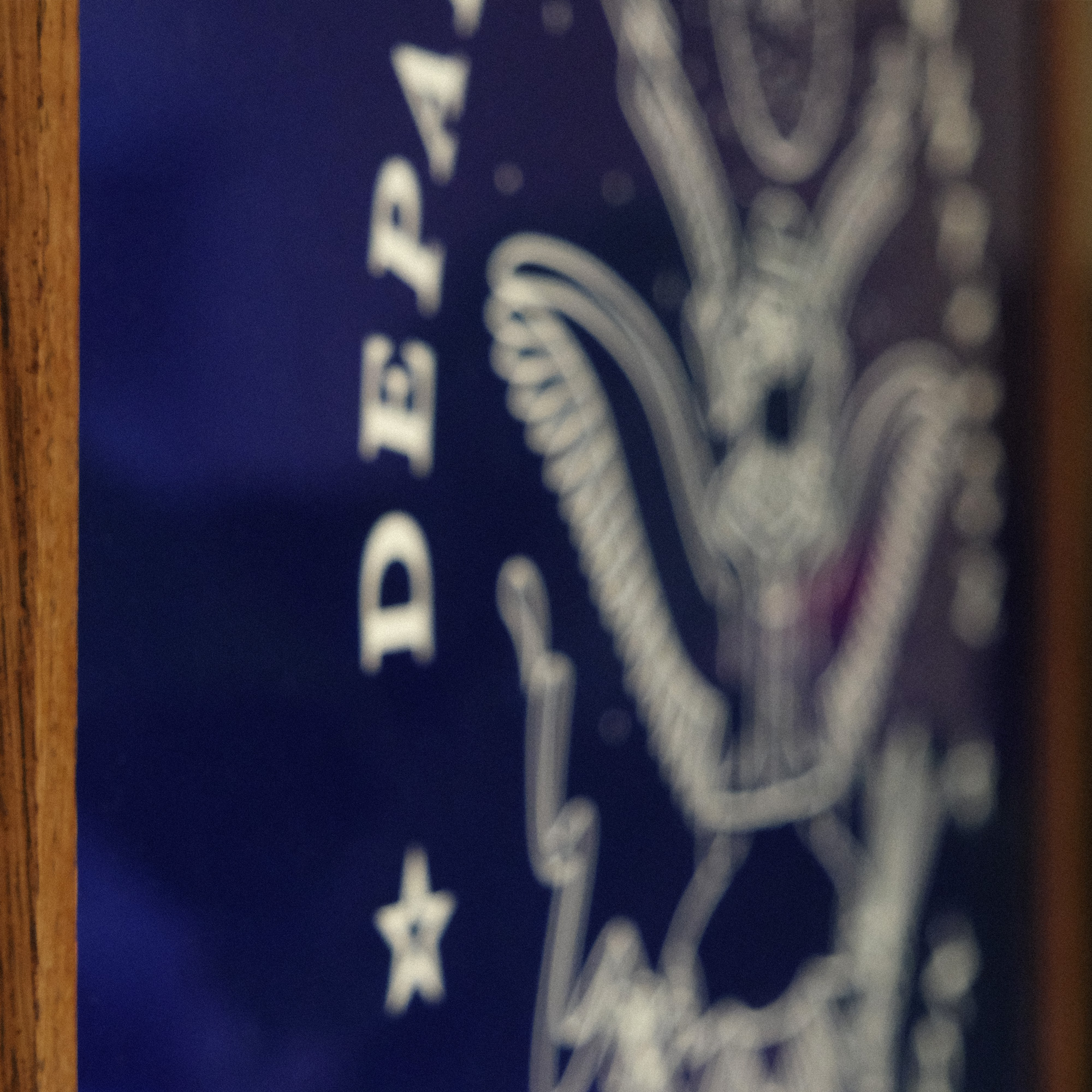 A close up of a blue reflective mirror with a white print of Pokey the Pigeon