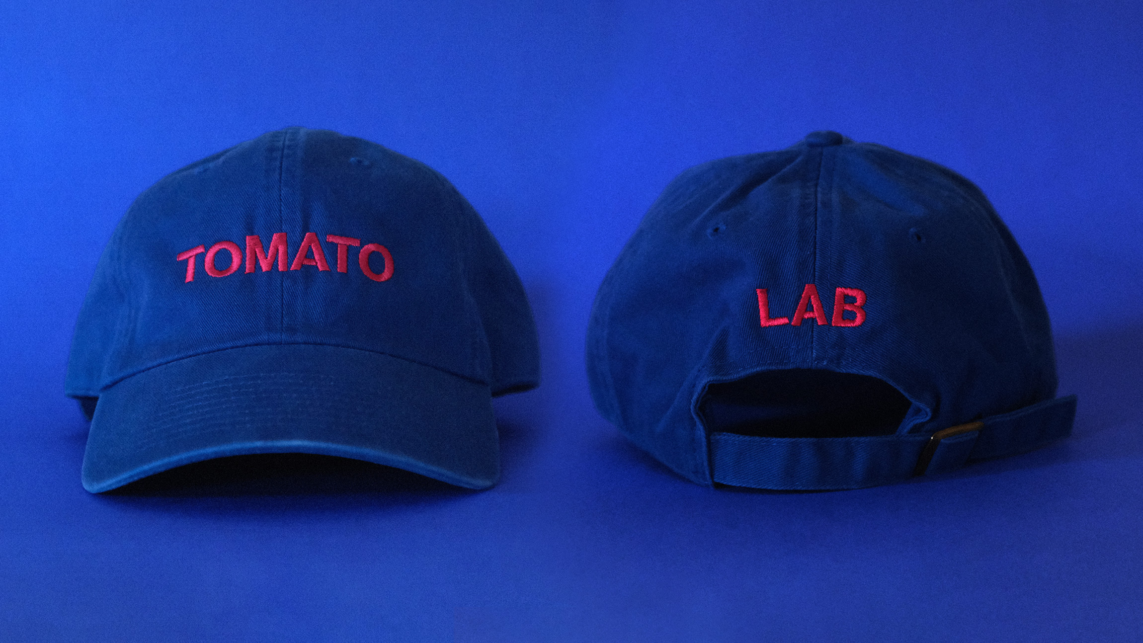 Two bright blue caps with the word TOMATO embroidered on the front and LAB on the back, they are resting on a blue backdrop