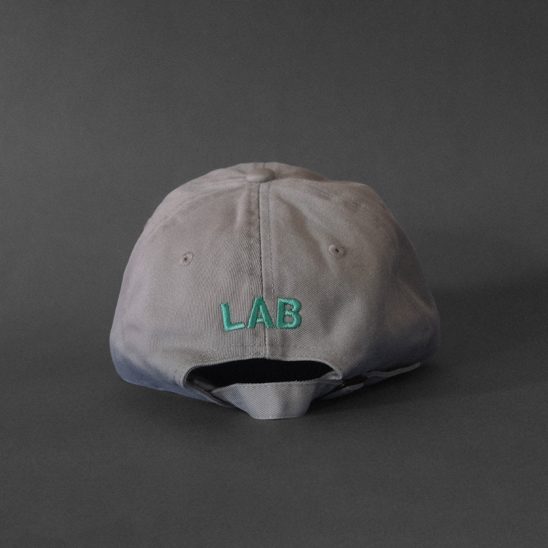 A light gray cap with seafoam embroidered text that says LAB